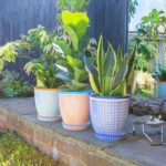 Nicola Spring Plant Pot with Saucer - For Outdoor, with Drip Hole 22cm Navy - Image 7