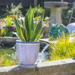 Nicola Spring Plant Pot with Saucer - For Outdoor, with Drip Hole 22cm Navy - Image 5