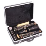 Odyssey OCL120 Debut Clarinet with Case - Image 2