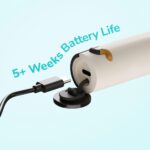 Ordo Squishmallows Cam The Cat Rechargeable Kids Toothbrush and 6 Brush Heads - Image 8