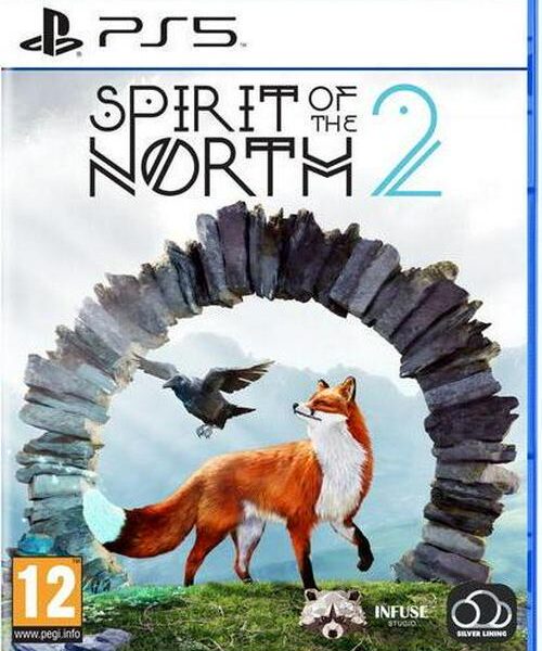 PLAYSTATION Spirit o c6682cf2e5cd29eaa0aebcf7499c7a17