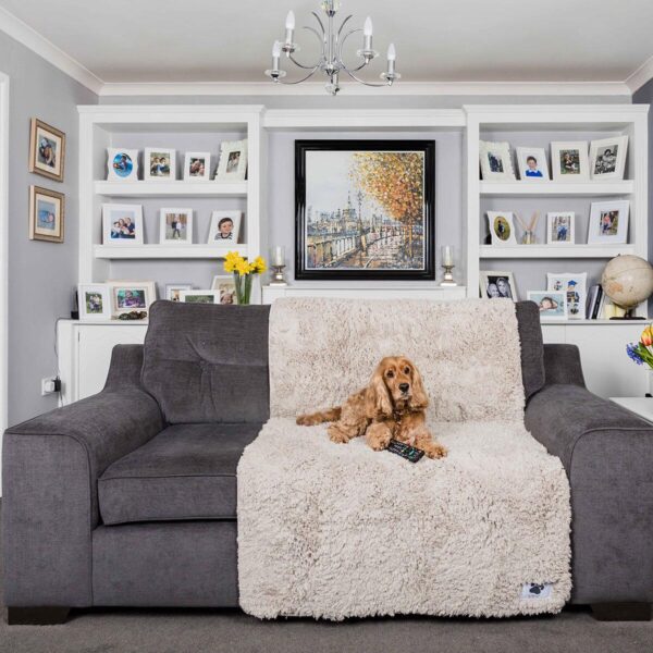 Pet Rebellion Comfy 9dfe4d3823d3b548a36fbfc13aaf10dd
