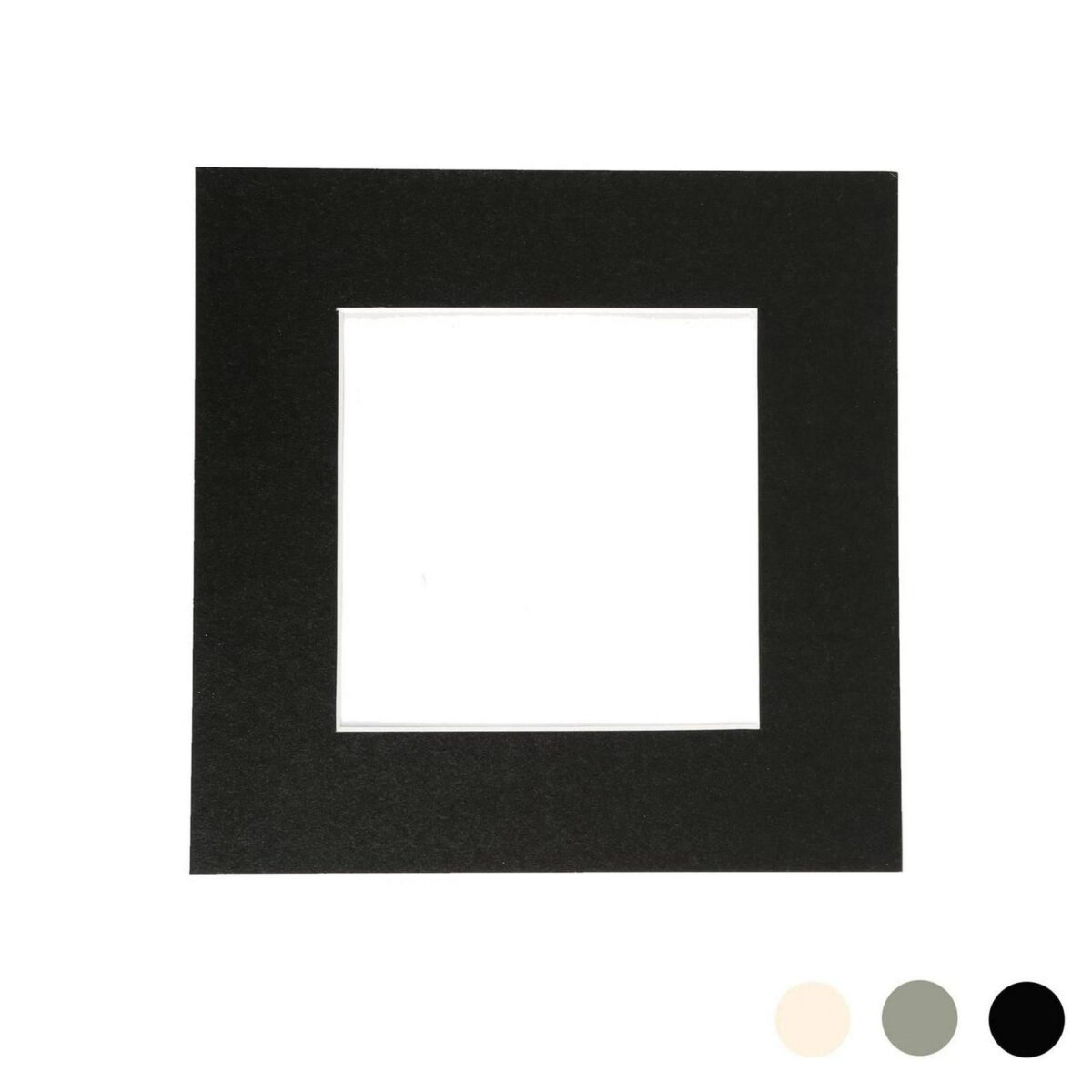 Picture Mount for 10 d105dfc8ac4ad4cfdfa966e3e0636c0e