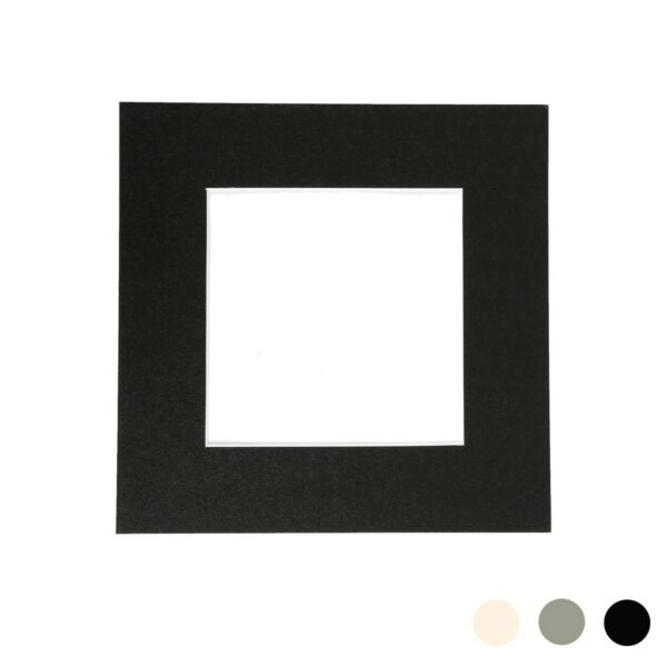 Picture Mount for 10 d105dfc8ac4ad4cfdfa966e3e0636c0e
