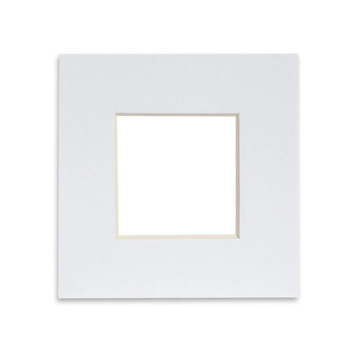 Picture Mount for 4 59f52ec08968eb8b67576fa2867a8025