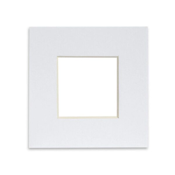 Picture Mount for 4 59f52ec08968eb8b67576fa2867a8025
