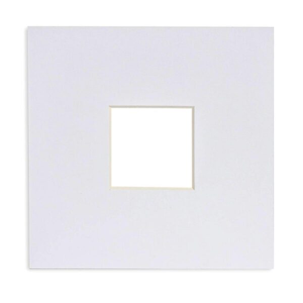 Picture Mount for 6 80dcd17ba3f32f3dd16e0d51f5232645
