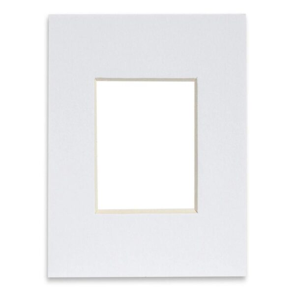 Picture Mount for 8 6f2673043b2966c33f84eec24d9876ca