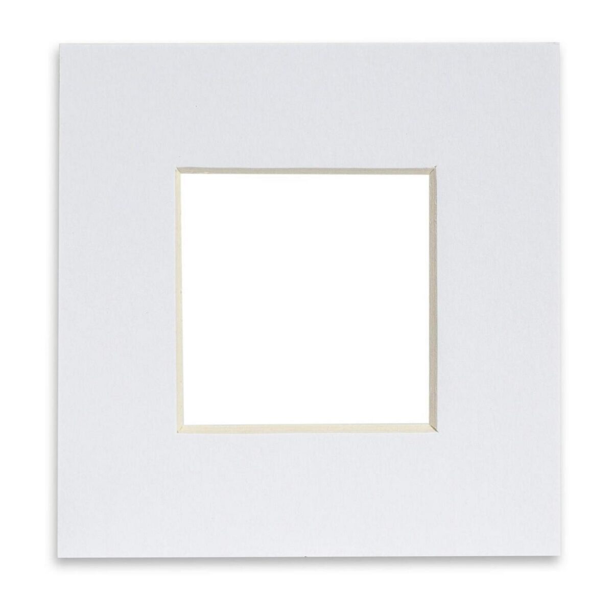 Picture Mount for 8 90adffacc9a81e95b91d1ec78a187b3a