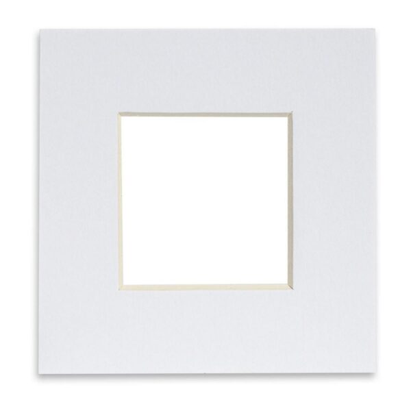 Picture Mount for 8 90adffacc9a81e95b91d1ec78a187b3a