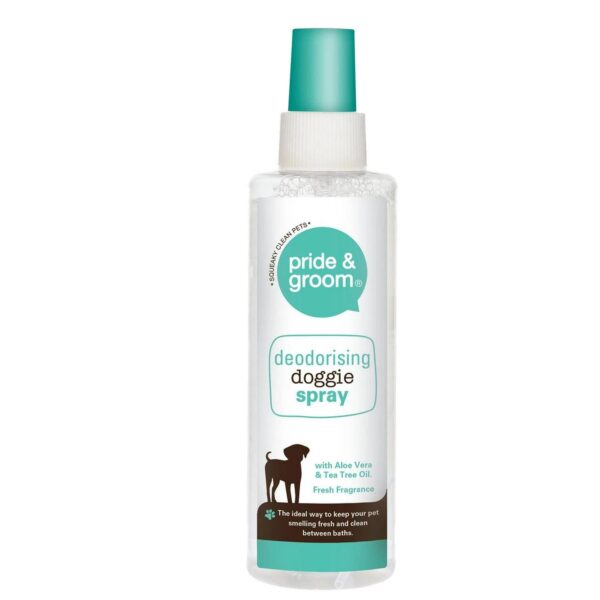 Pride and Groom Dog 06043f4d784f1120f546649c1b59867f