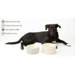 Scruffs Dog Food and Water Bowl Set