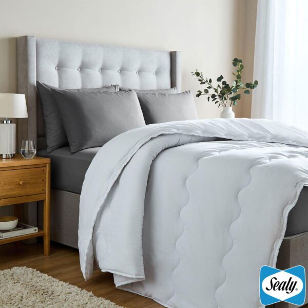 Sealy Deeply Full 10 0d55437489946ae21681423d4a6015c5