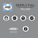 Sealy Deeply Full Pillow 2 pack - Image 8