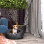 Snoozzzeee Deluxe Luxury Donut Pet Bed, 20.3cm x 63.5cm (8 x 25 ) in 2 Colours - Image 5
