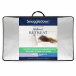 Snuggledown Hungarian Goose Down Pillow - Image 6