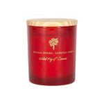 Soy Wax Scented Candle Aromatherapy Gift 21hr Burn 130g Wild Fig and Cassis