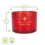 Soy Wax Scented Candle Aromatherapy Gift 38hr Burn 350g Wild Fig and Cassis - Image 3