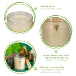 Soy Wax Scented Candle Gift 21hr Burn 130g Green Pomelo and Passion Fruit - Image 2