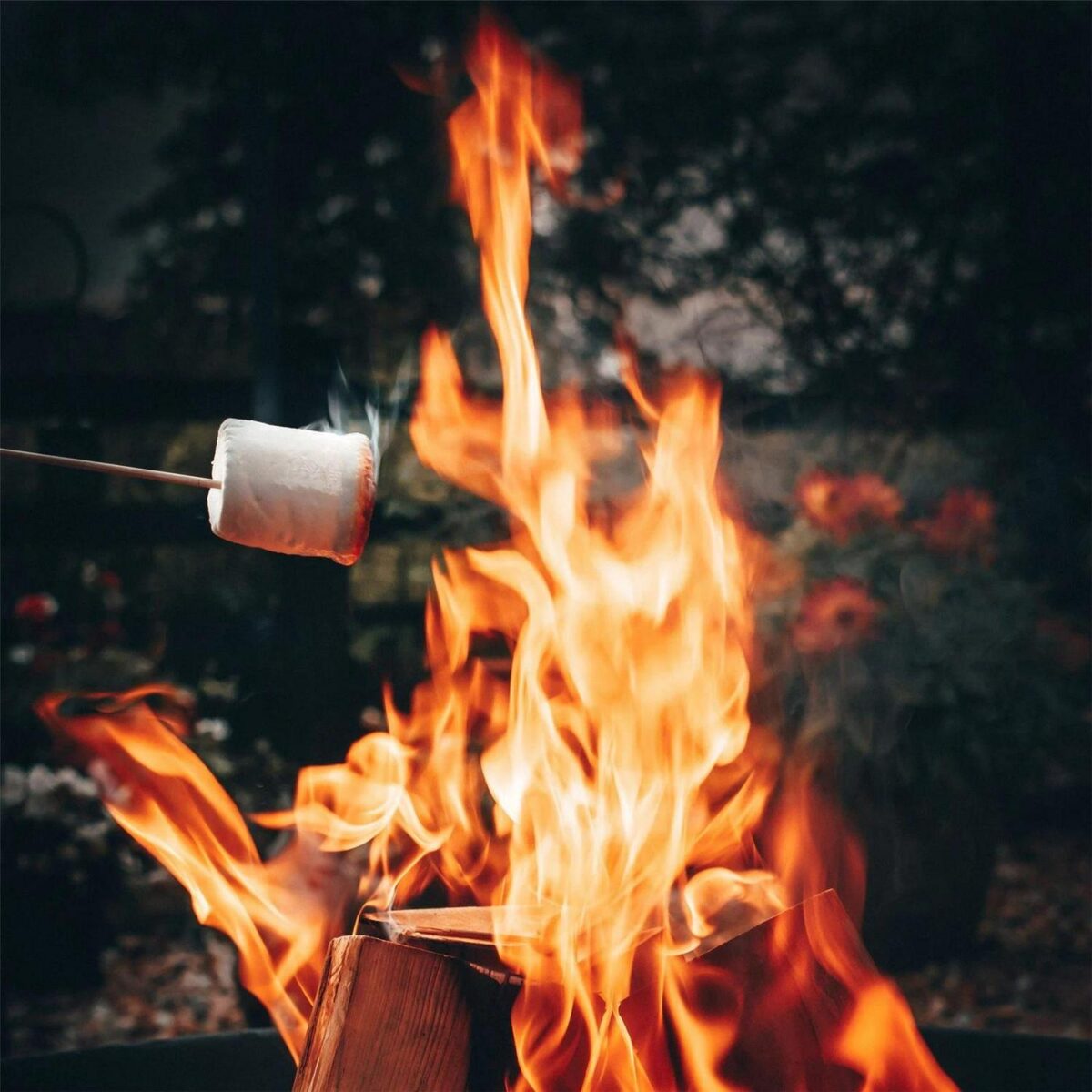 Steel Garden Fire Pi 98008aacc94fdb59e97a19391d0b7e24