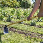 Steel Garden Hoe Full Size Azada Garden Digging Hoe with Wooden Handle 110cm - Image 7
