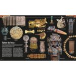The Definitive Visual Guide: Animal or History by DK - Image 3