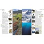 The Definitive Visual Guide: Animal or History by DK - Image 5