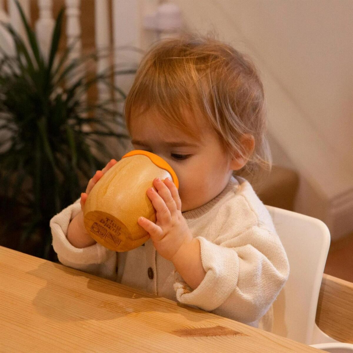 Tiny Dining Orange 1 565948422ead3308613eb79c8f2371cd