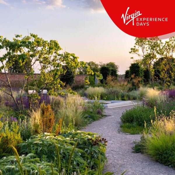 Virgin Experience Da 37da1fb789b570d156a2cc04f542c86d