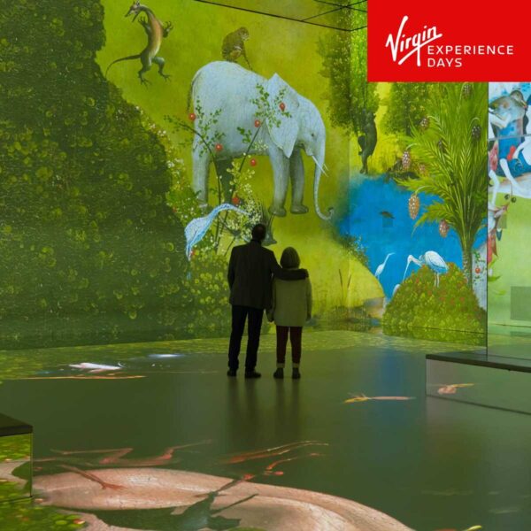 Virgin Experience Da 449aca501b9f9495ca85795e3fb0b34c