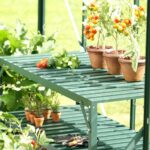 Vitavia Washington 3800 6ft 2 x 6ft 2 (2 x 2 m) Greenhouse Package - Image 2
