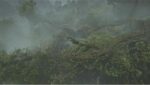 XBOX Monster Hunter: Wilds Steelbook - Xbox Series X - Image 11