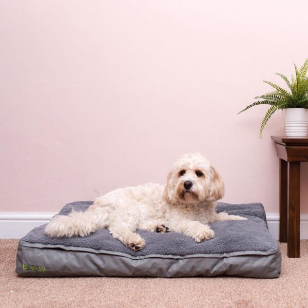 bECOsy Medium Pet Be 7f1563fb439619119a7742eab8b58c9d