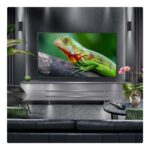 LG 65QNED80A6A 65 Inch QNED 4K Ultra HD Smart TV - Image 3