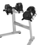 StairMaster 88lbs (40kg) TwistLock Adjustable Dumbbell Set with Stand